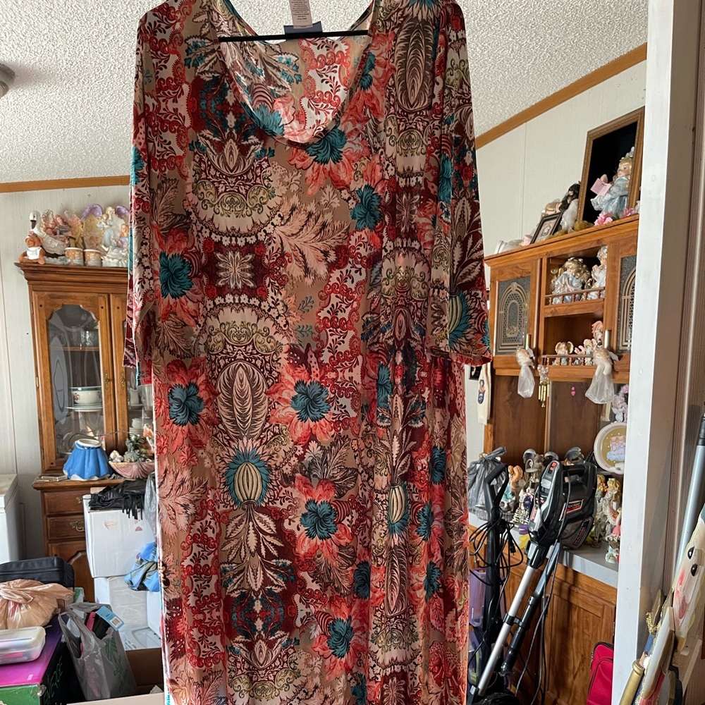 This is a multi color dress with tassels around the bottom size is 2X
